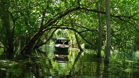 Guests enjoying Poovar boating – Poovar Boating photo 12