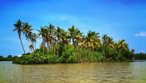 Boat cruise on Poovar lake – Poovar Boating photo 30